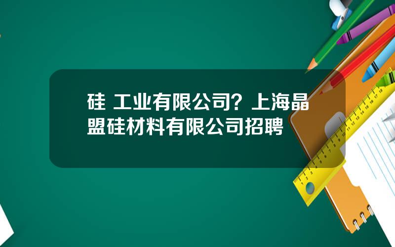 硅 工业有限公司？上海晶盟硅材料有限公司招聘